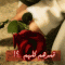 قـمـرهم كـلهم
